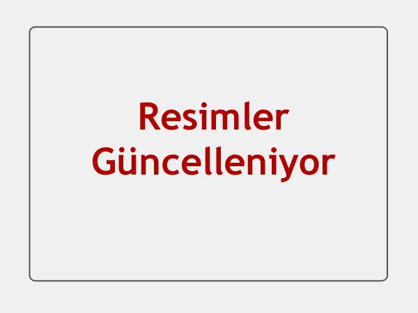 Kediler Hakknda Bilinmeyenler